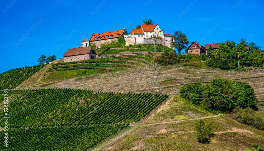 View of Staufenberg Castle in the middle of vineyards near.the village Durbach_Ortenau, Baden Wuerttemberg, Germany.
