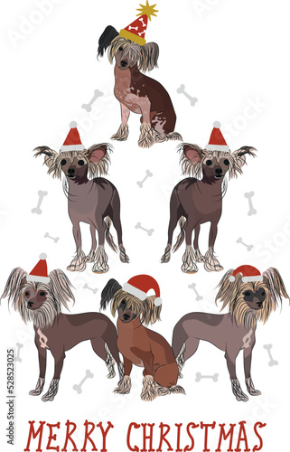 Chinese Crested dogs wearing winter hats. Cute funny dogs. Character design. Abstract Christmas tree. Vector illustration. Merry Christmas greeting card with cute funny dogs. Chinese Crested character