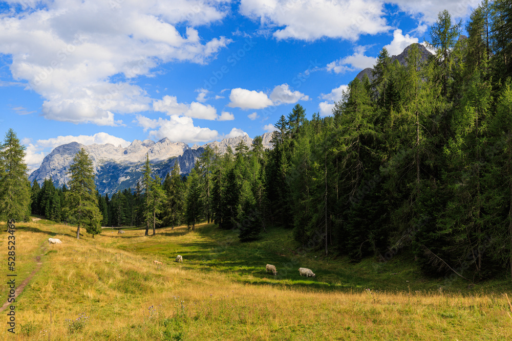 Dolomites view from mount Faloria - Italy