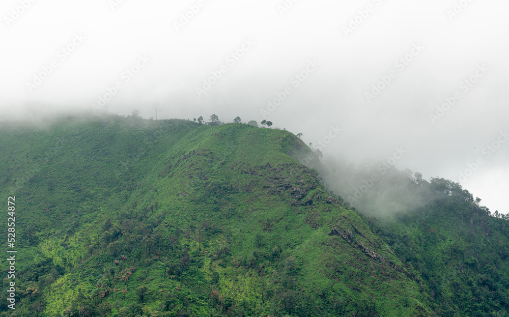 Fog on top mountain tree at ridge landscape overcast sky rainy season.