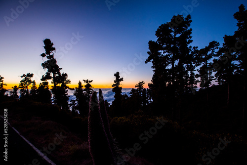 Spring sunset in Caldera De Taburiente Nature Park, La Palma Island, Canary Islands, Spain