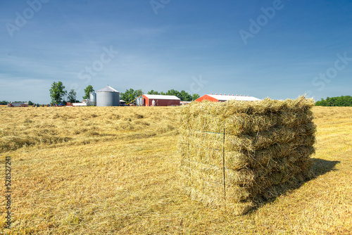 Baled and Stacked Hay