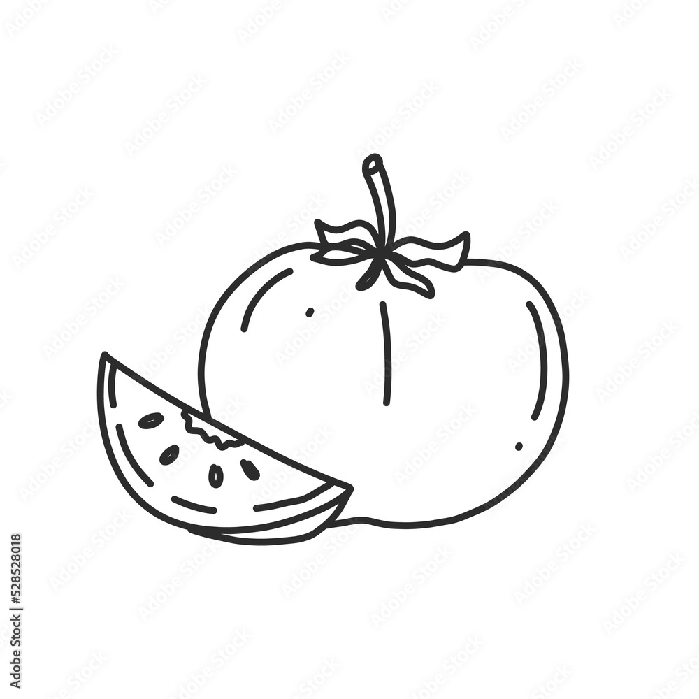 Obraz premium kiwifruit in hand drawn illustration, For food business isolated background