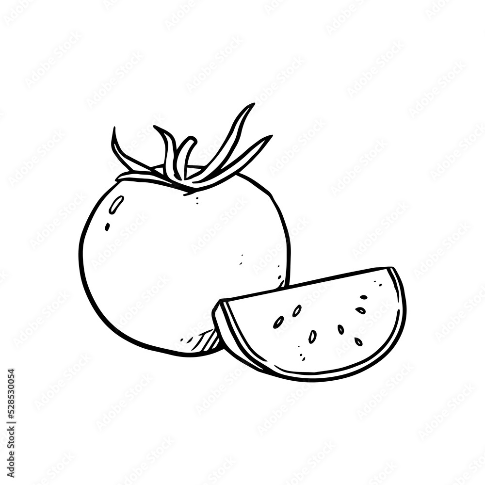 Obraz premium tomato for vegetables and fruits illustrations design
