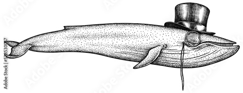 Vintage engrave isolated dressed fashion blue whale set illustration humpback costume ink sketch. Wild new hat sunglasses hipster cachalot background line glasses giant  dolphin art