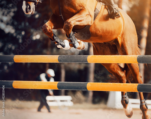 A beautiful bay horse with a rider in the saddle jumps over a high yellow barrier, illuminated by rays of sunlight Fototapet