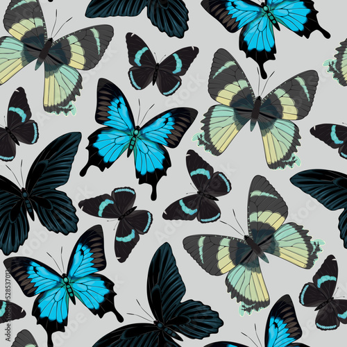 Vector pattern with high detailed tropic butterfly