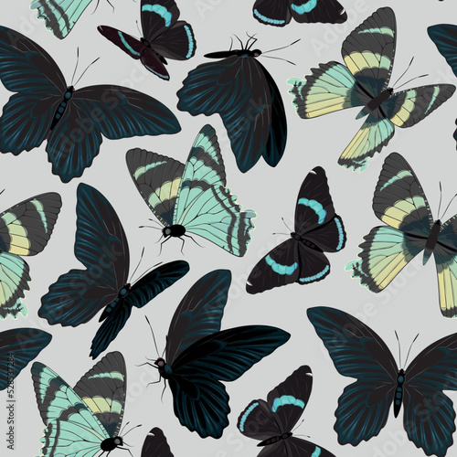 Vector pattern with high detailed tropic butterfly