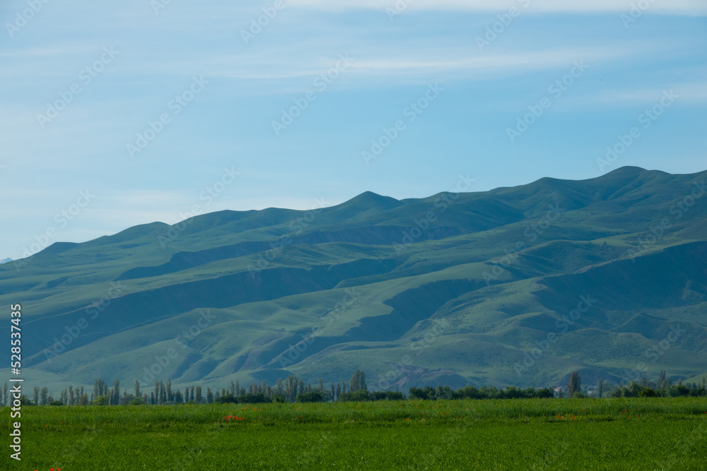 Green field near the mountain