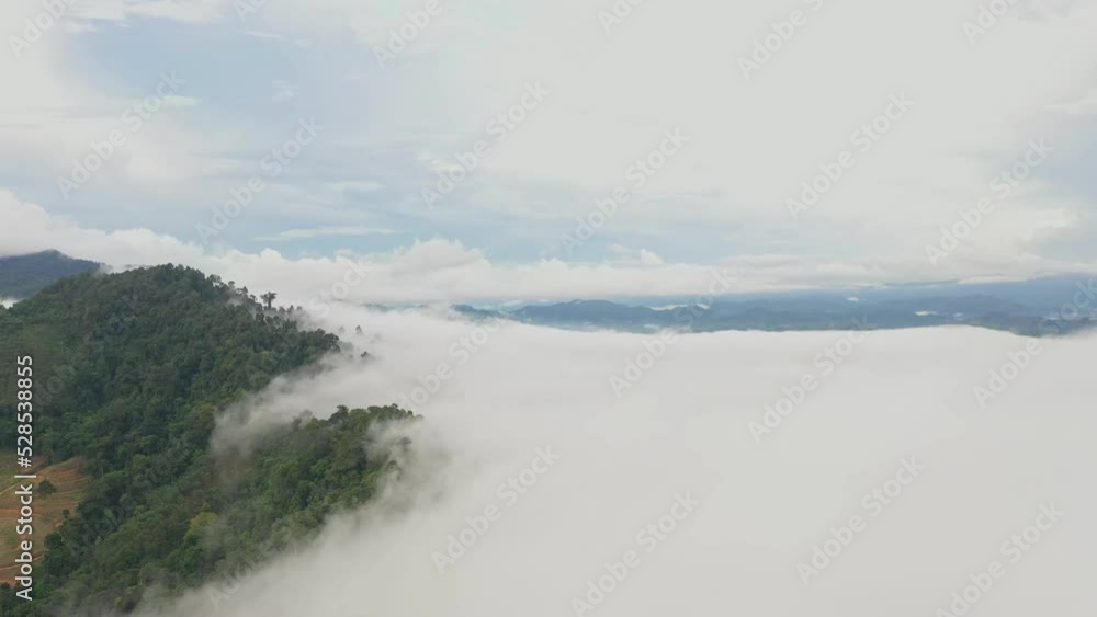 .aerial view a sea of white mist envelops the mountain peak, slowly flowing down from the mountain peak..mist above the mountain in tropical rainforest and beautiful scenery view in Phang Nga valley .aerial view a sea of white mist envelops the mountain peak, slowly flowing down from the mountain peak..mist above the mountain in tropical rainforest and beautiful scenery view in Phang Nga valley