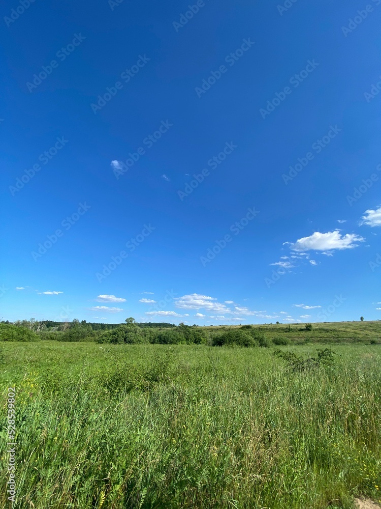 Obraz premium green field and blue sky