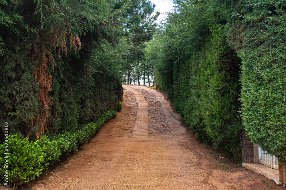 Obraz premium Campamento