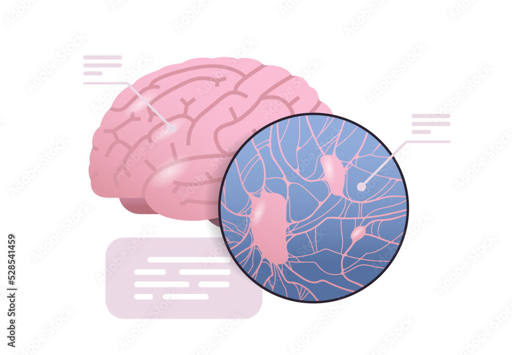 Detailed Explanation Anatomical Brain Structure Human Body Internal Detailed Explanation Anatomical Brain Structure Human Body Internal