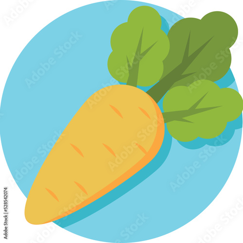 Carrot Vector Icon 