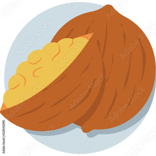 Coconut Vector Icon 
