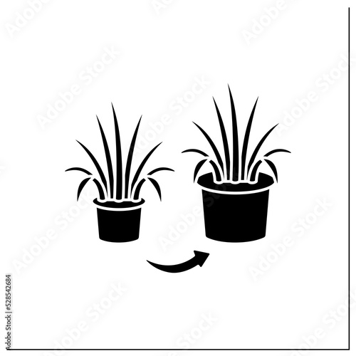 Repot glyph icon. Transplant overgrown plant to big pot. Home gardening. Houseplant care concept. Filled flat sign. Isolated silhouette vector illustration