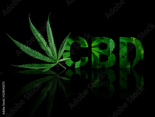 CBD or THC cannabis addiction or alternative health - banner design