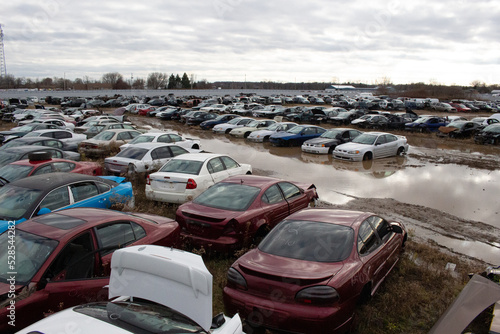 Wallpaper Mural Nature / Forest in Ontario, CAD. Sunset, spider web, trees, plants, beach, leaves, lake with a dock, street, abandoned house, river, lily pads, fishing, relaxing summer with coffee, sunflowers, etc. Torontodigital.ca