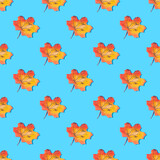 Absolutely seamless pattern of yellow leaves on a blue background