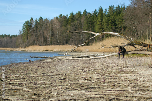 Pochylony człowiek siedzący na konarze starego wyschniętego drzewa na brzegu jeziora.	
