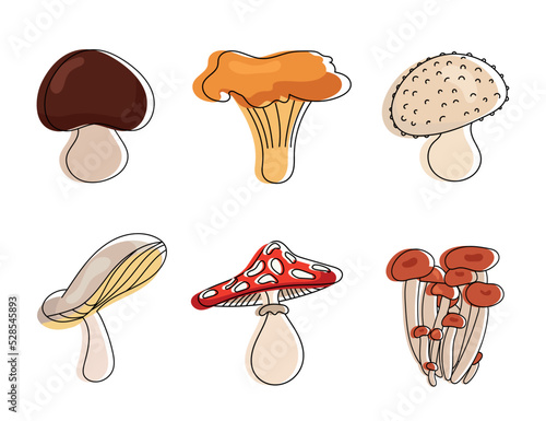 Mushroom vector collection design, mushroom vector set, mushroom collection design. Doodle set - mushrooms.