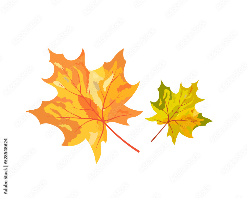 Autumn Element Autumn Element