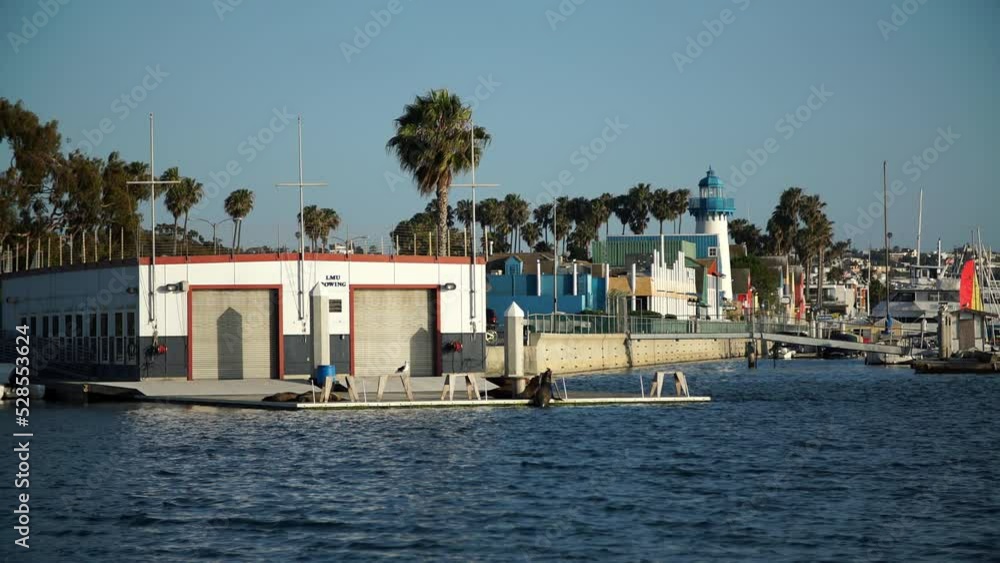 Lockdown Time Lapse Shot Of Wet Seals On Jetty By Harbor - Marina, California Lockdown Time Lapse Shot Of Wet Seals On Jetty By Harbor - Marina, California