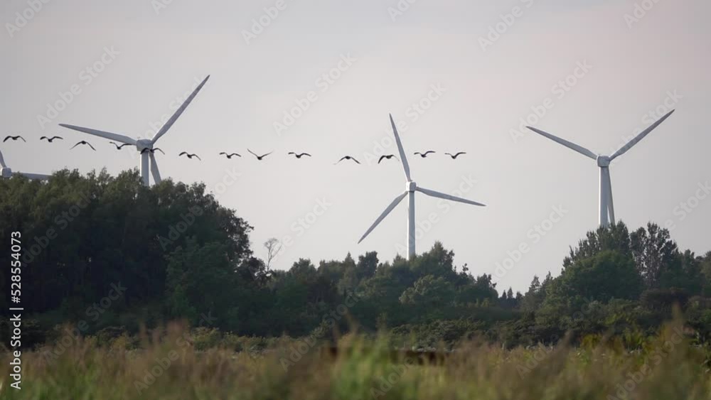 Birds flying around wind turbines, Sweden
Slow motion shot from Sweden, 2022
Birds flying around wind turbines, Sweden
Slow motion shot from Sweden, 2022