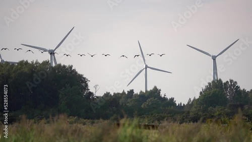 Birds flying around wind turbines, Sweden
Slow motion shot from Sweden, 2022
