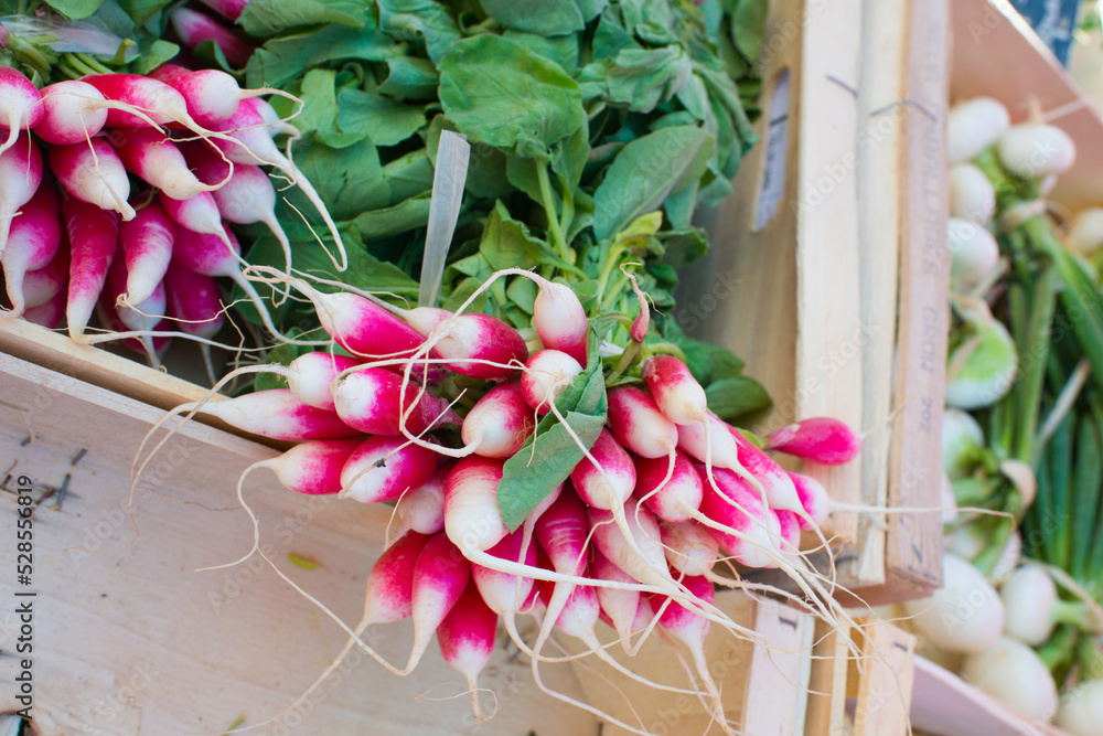 Bunch of radish in a market. Rennes, France