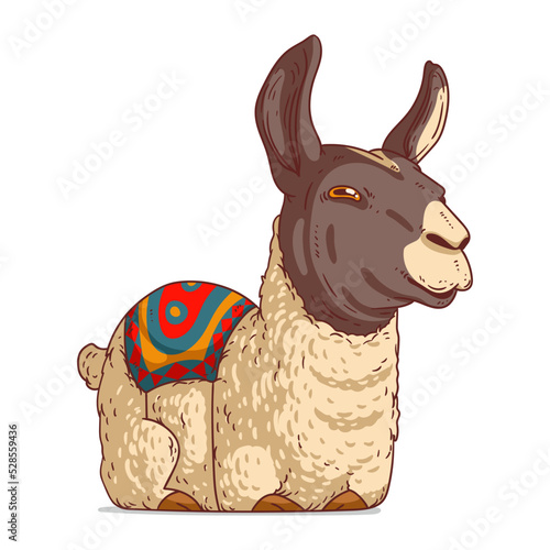 A Llama, isolated vector illustration. Funny cartoon picture of a calm alpaca lying. A drawn animal sticker. Simple drawing of a cute llama on white background. A wild Peruvian animal.