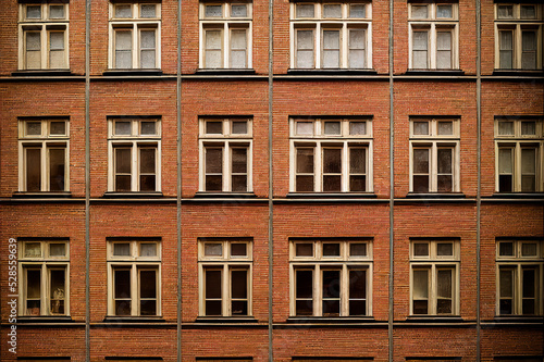 Facade with Windows in Brick Expressionism Style