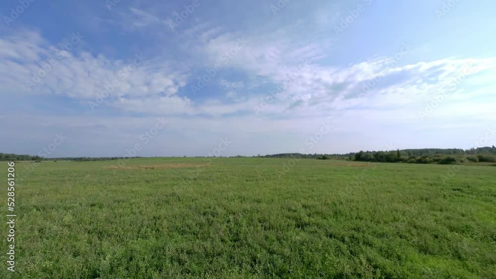 FPV flight over green meadow under cloudy sky. FPV aerial scenic landscape, camera moving forward FPV flight over green meadow under cloudy sky. FPV aerial scenic landscape, camera moving forward