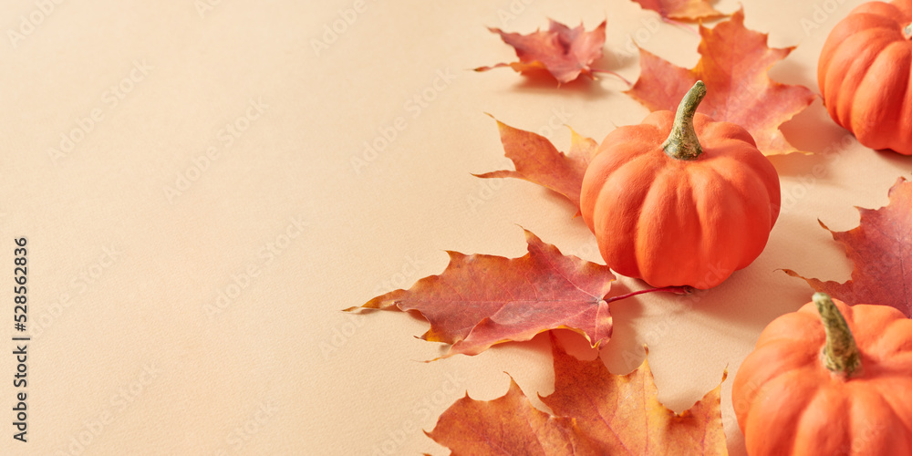 Colorful autumn leaves and pumpkins on an orange background. Nature mockup background - obrazy, fototapety, plakaty 