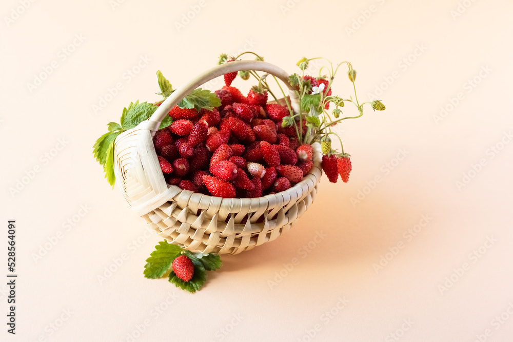 Wild strawberries in a beige basket on a orange background with green leaves, healthy and delicious food Wild strawberries in a beige basket on a orange background with green leaves, healthy and delicious food