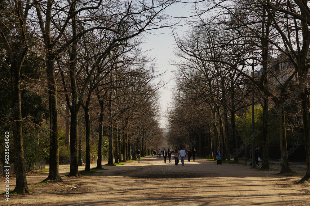 Obraz premium park in the evening