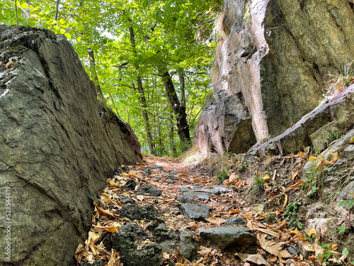 stone hiking path