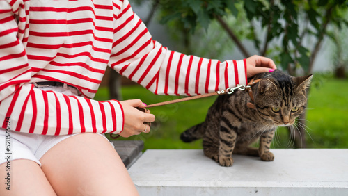 Fotografie Young woman and tabby cat sitting on a bench outdoors.
