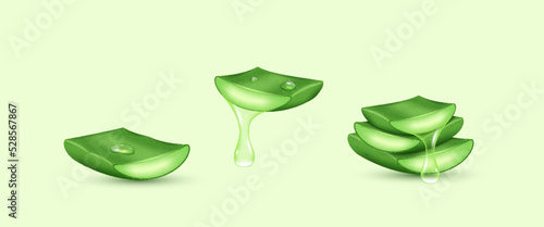 Cut aloe vera leaves with juice drops realistic. Fresh plant glass elements for skincare cosmetics