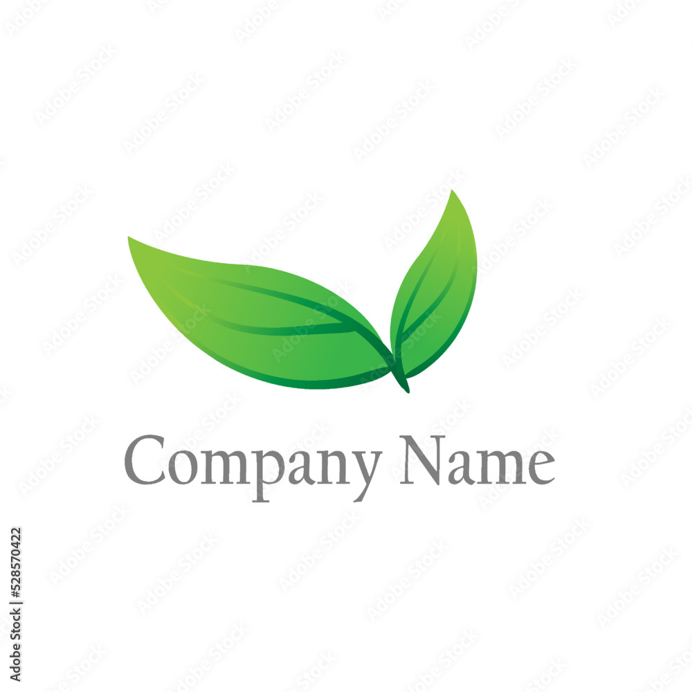 Two leaf logo vector graphic design Two leaf logo vector graphic design