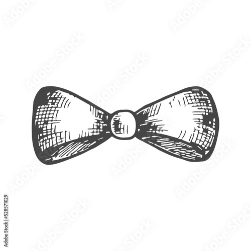 gentleman bow vector sketch hand drawing illustration