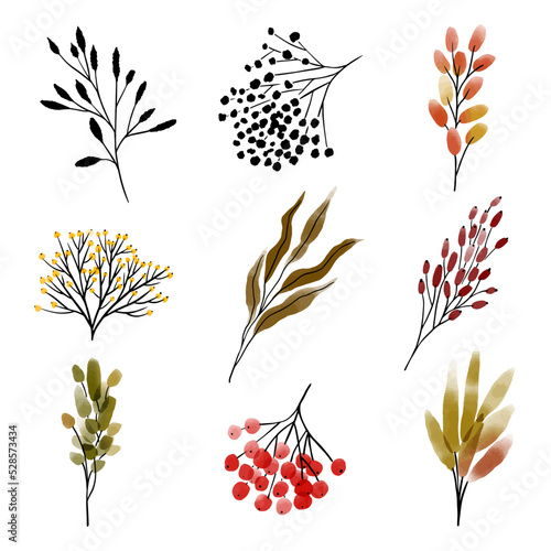 Set with watercolor autumn branches, leaves and berries isolated on white background