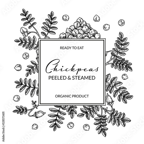 Hand drawn chickpeas botany frame. Vector illustration in sketch style. Design for packaging, logo, poster, badge, label
