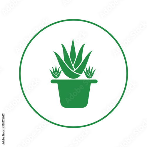 Indoor plant aloe vera icon | Circle version icon |