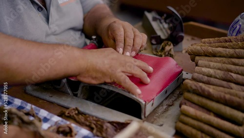 Hombre fabricando Habanos puro a mano, trabajo artesanal, artesanal  photo