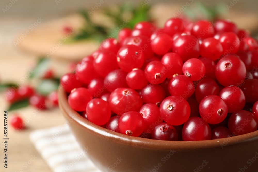 Bowl with tasty ripe cranberries on table, closeup Bowl with tasty ripe cranberries on table, closeup