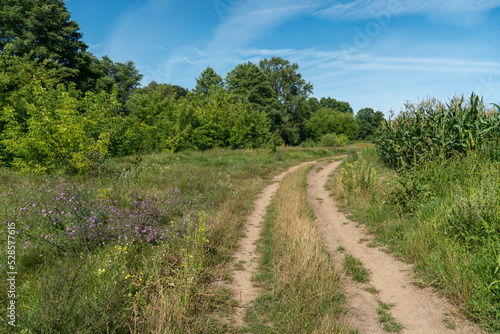 A dirt road runs along an agricultural field and forest.  Beautiful autumn landscape in nature. Poor road quality for logistics and cargo transportation.