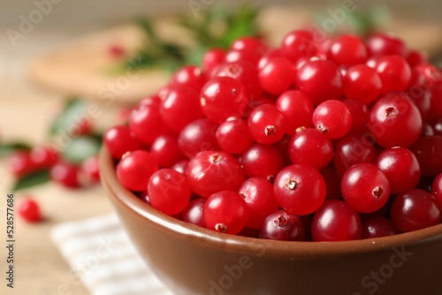 Bowl with tasty ripe cranberries on table  closeup