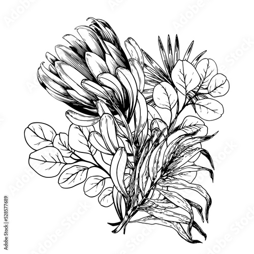 Floral bouquet with exotic protea flowers and eucalyptus leaves. Hand drawn vector illustration on white background.
