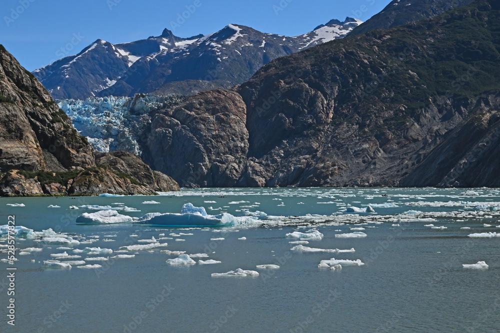 Approaches to LeConte Glacier.